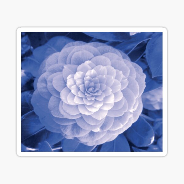 PERFECT PETALS FROZEN IN TIME Sticker