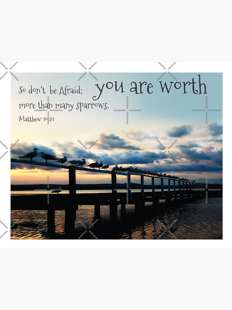 Matthew 10 31 You Are Worth More Than Many Sparrows Poster For Sale Matthew 10 31 You Are Worth More Than Many Sparrows Poster For Sale