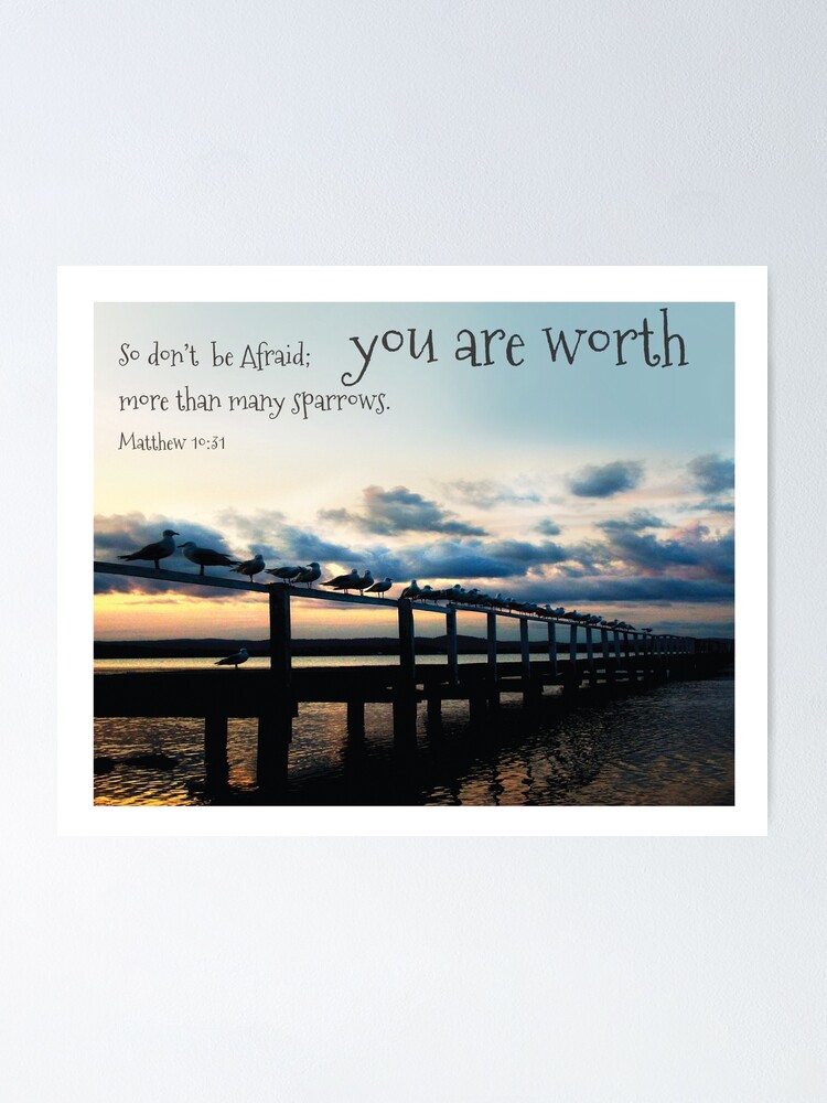 Matthew 10 31 You Are Worth More Than Many Sparrows Poster For Sale Matthew 10 31 You Are Worth More Than Many Sparrows Poster For Sale