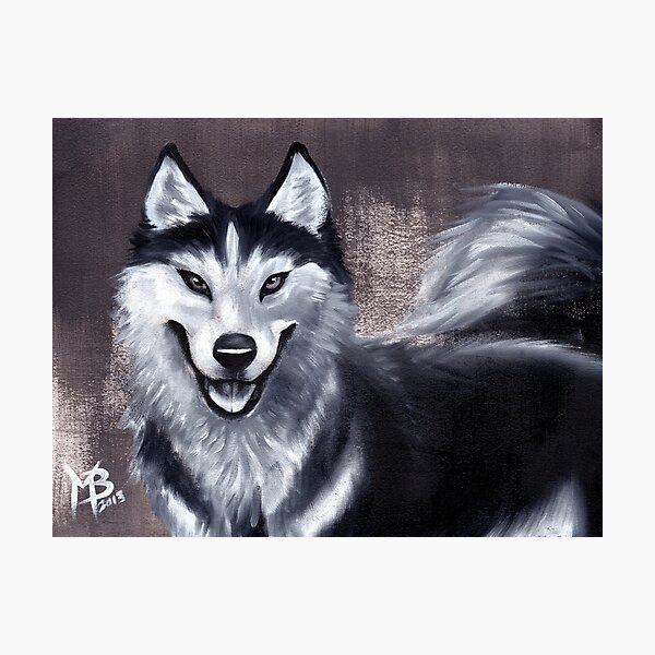Sibe Portrait Photographic Print
