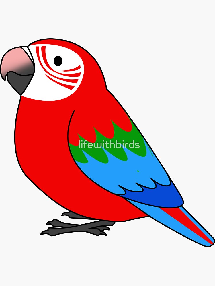 Draw Parrot | TikTok