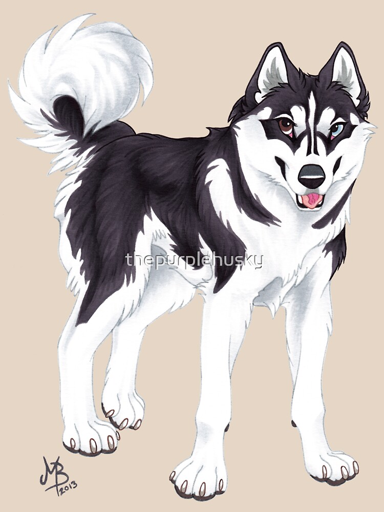 Black Siberian Husky (no text) by thepurplehusky