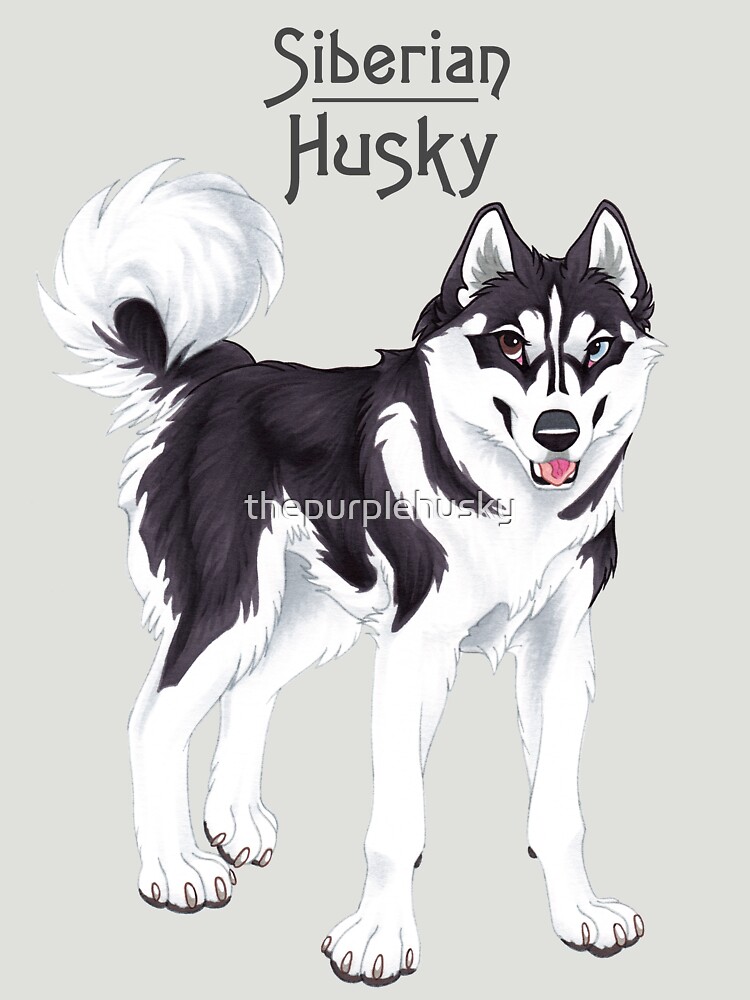 Black Siberian Husky (with text) by thepurplehusky