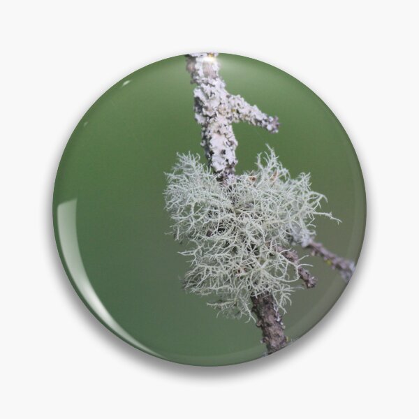 Item preview, Lichen on a tree branch designed and sold by Paul Yeatman.