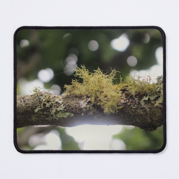 Item preview, Nature's Harmony: Lichen on a Tree Branch Photograph designed and sold by Paul Yeatman.