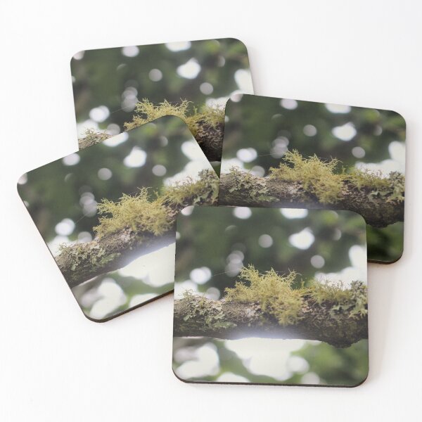 Item preview, Nature's Harmony: Lichen on a Tree Branch Photograph designed and sold by Paul Yeatman.