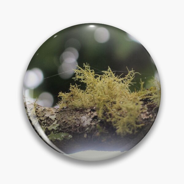 Item preview, Nature's Harmony: Lichen on a Tree Branch Photograph designed and sold by Paul Yeatman.