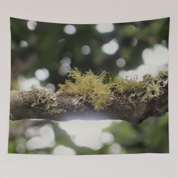 Item preview, Nature's Harmony: Lichen on a Tree Branch Photograph designed and sold by Paul Yeatman.
