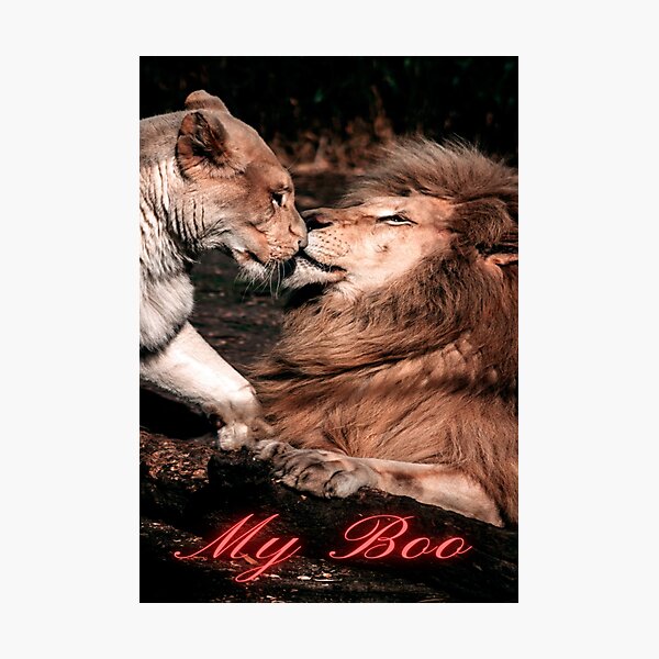 Greeting Cards lions kissing My Boo Valentine