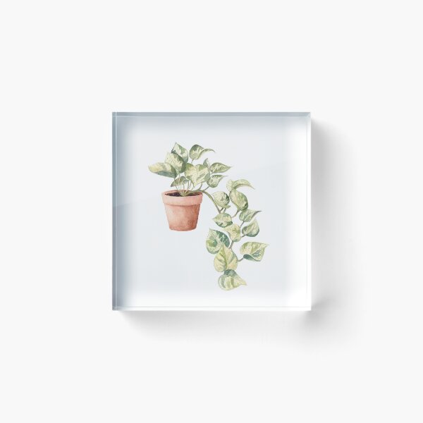 Item preview, Watercolor Pothos in a pot, Devil’s Ivy, House Plant, Leaves, Greenery, Botanical Art designed and sold by fengyuhao.