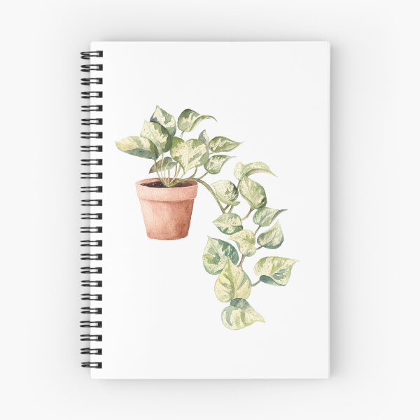Item preview, Watercolor Pothos in a pot, Devil’s Ivy, House Plant, Leaves, Greenery, Botanical Art designed and sold by fengyuhao.