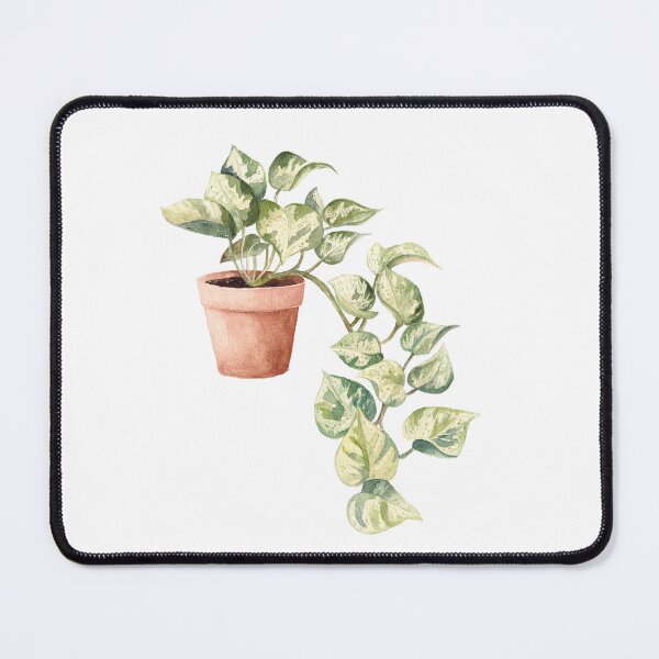 Item preview, Watercolor Pothos in a pot, Devil’s Ivy, House Plant, Leaves, Greenery, Botanical Art designed and sold by fengyuhao.