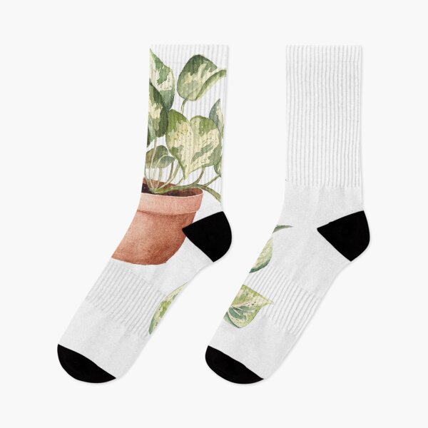 Item preview, Watercolor Pothos in a pot, Devil’s Ivy, House Plant, Leaves, Greenery, Botanical Art designed and sold by fengyuhao.