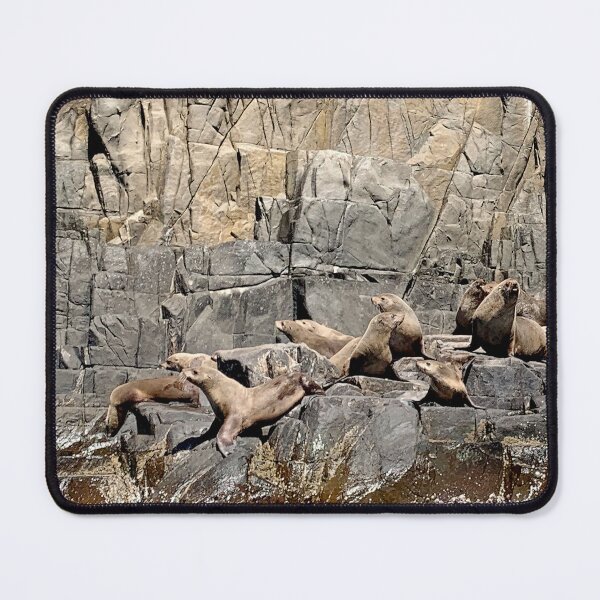 Item preview, Bruny Island Seals Tasmania designed and sold by Mark Higgins.