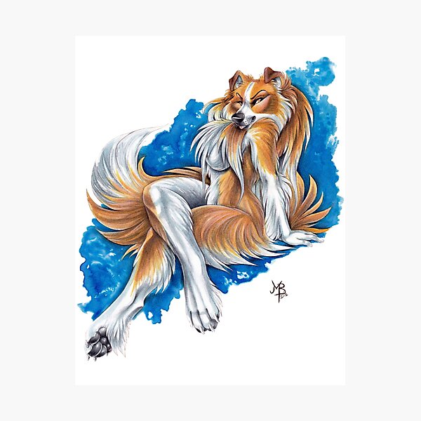 Collie Girl Photographic Print
