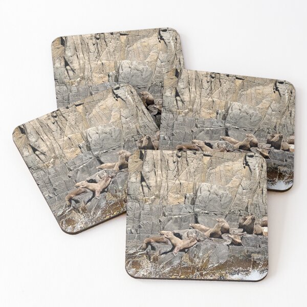 Item preview, Bruny Island Seals Tasmania designed and sold by Mark Higgins.