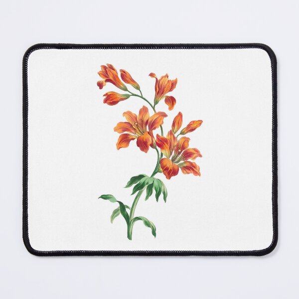 Item preview, Vintage Flowerpattern - orang lily vector vintage floral art print designed and sold by YANAY-FASHION.