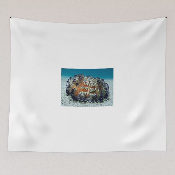 Item preview, Sea Urchin designed and sold by Marcel Botman.