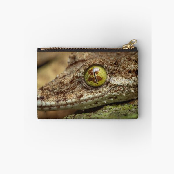 Item preview, Northern leaf-tailed gecko (Saltuarius cornutus) - rainforest gecko from northern Queensland designed and sold by Trent Townsend.