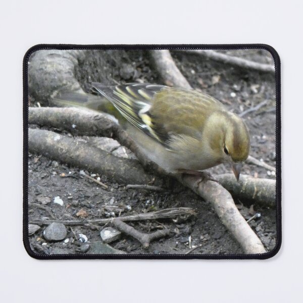 Item preview, looking designed and sold by KathleenDawson.