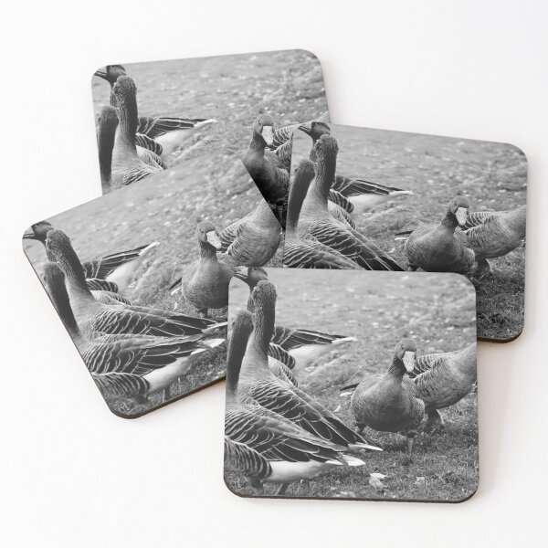 Item preview, Greylag geese in the park designed and sold by CarolinaReina.
