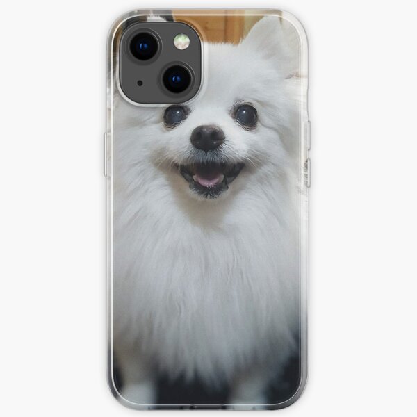 Gabe the Dog iPhone Soft Case