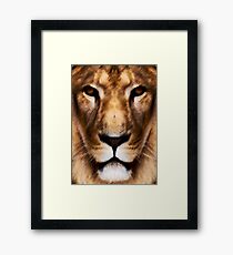 Animal King Framed Print