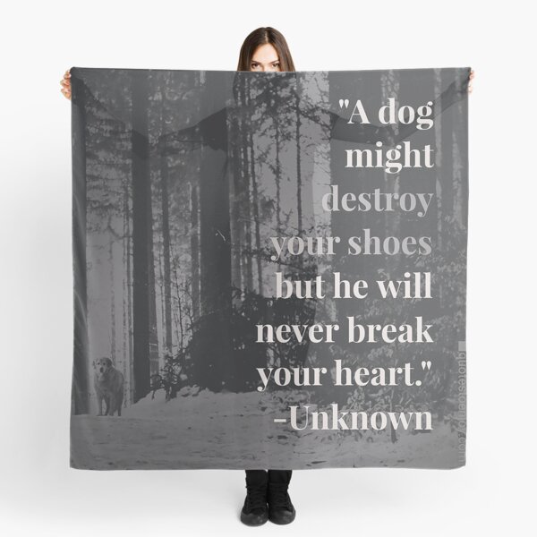 A dog might destroy your shoes but he will never break your heart. – Author Unknown Scarf
