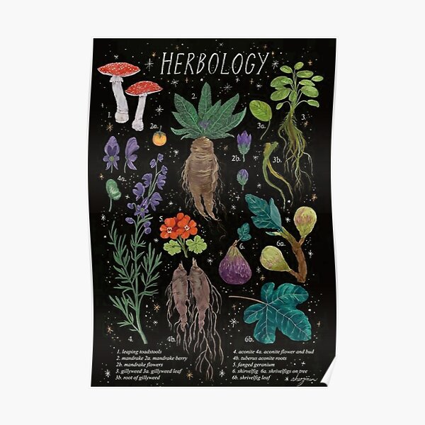 magischer Pflanzentöpfer Poster