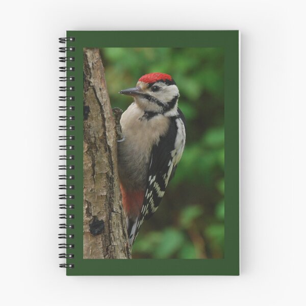 Item preview, Great spotted woodpecker designed and sold by Heather Thorsen.