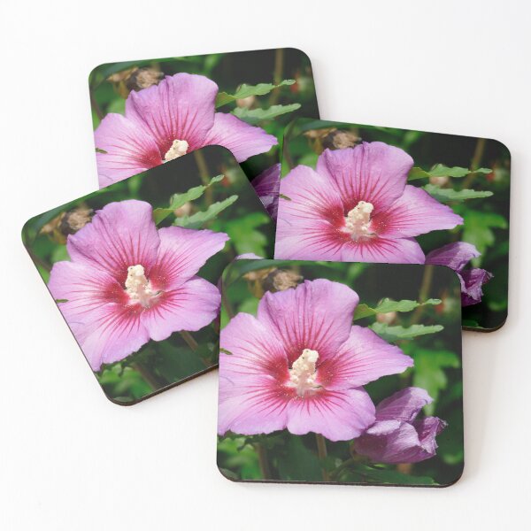 Item preview, Flor Hibiscus designed and sold by Torsten Krüger.