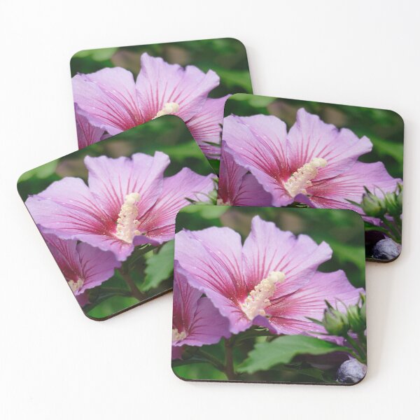 Item preview, Flor Hibiscus designed and sold by Torsten Krüger.