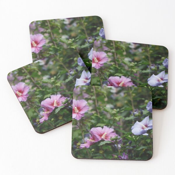 Item preview, Flor Hibiscus designed and sold by Torsten Krüger.