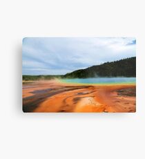 Blistered in the Sun Metal Print