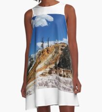 Summer and Winter is coming A-Line Dress