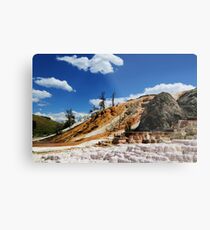 Summer and Winter is coming Metal Print