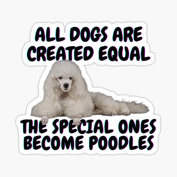Poodles Are Special Sticker