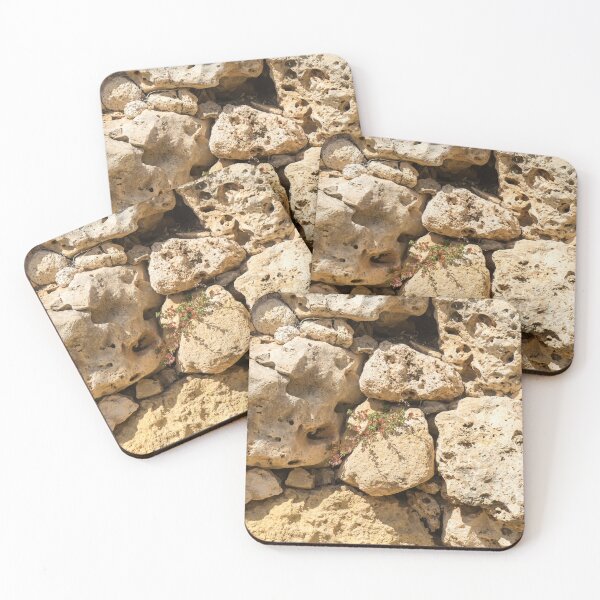 Item preview, Life on Bare Rock - Delicate Plants on Ancient Limestone Wall designed and sold by Georgia Mizuleva.