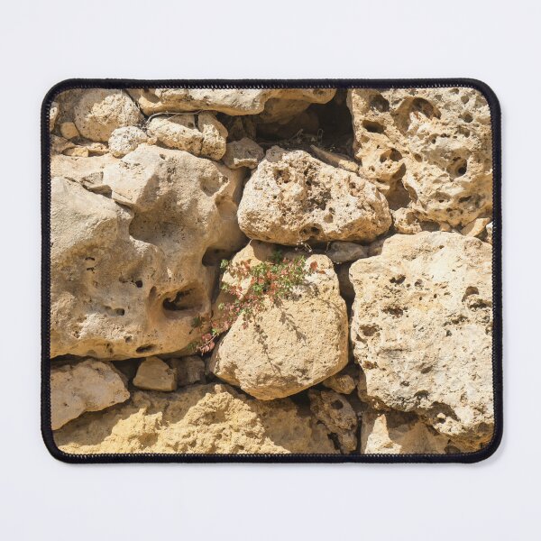 Item preview, Life on Bare Rock - Delicate Plants on Ancient Limestone Wall designed and sold by Georgia Mizuleva.
