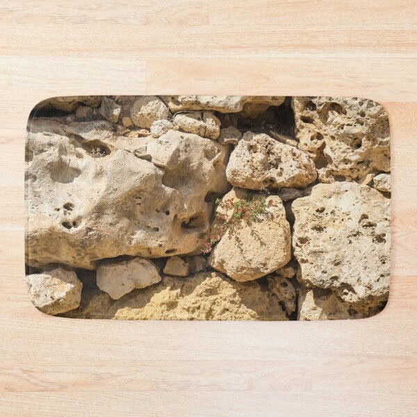 Item preview, Life on Bare Rock - Delicate Plants on Ancient Limestone Wall designed and sold by Georgia Mizuleva.