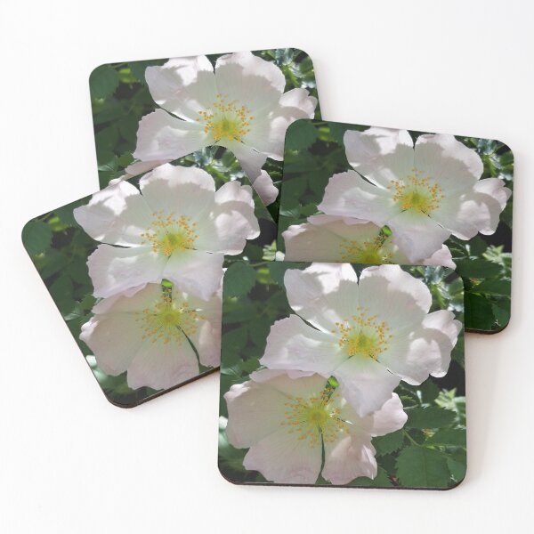 Item preview, Wild Rose designed and sold by amanda150771.