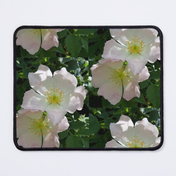 Item preview, Wild Rose designed and sold by amanda150771.