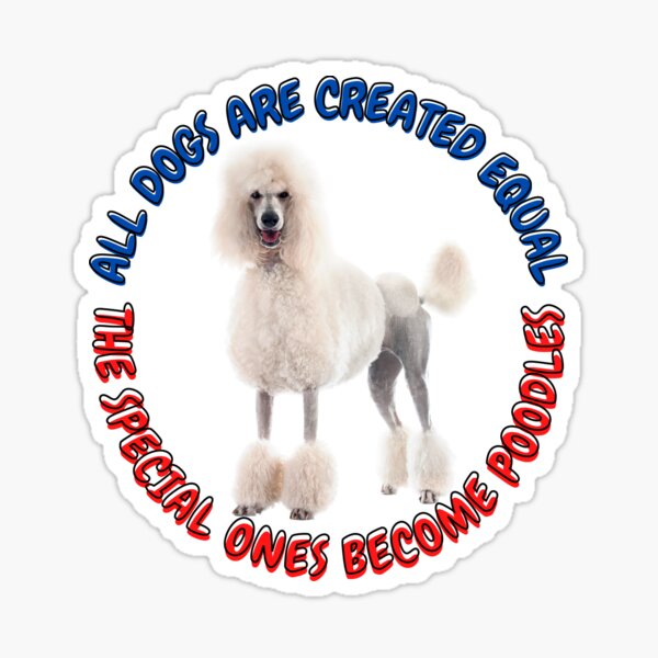 All Poodles Are Special Sticker