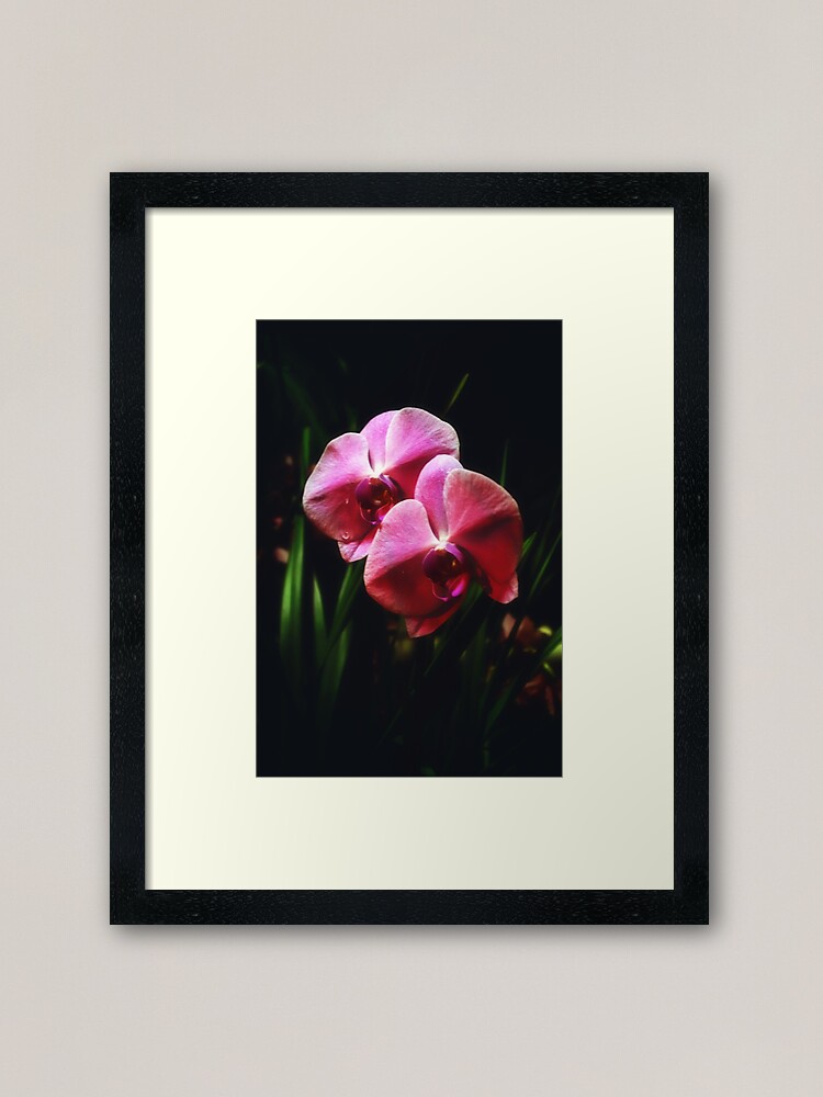 Thumbnail 1 of 7, Framed Art Print, The Two designed and sold by Mallorn.