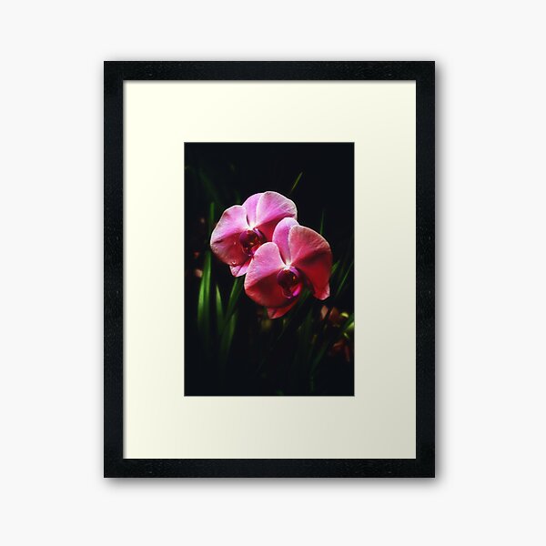 Framed Art Print
