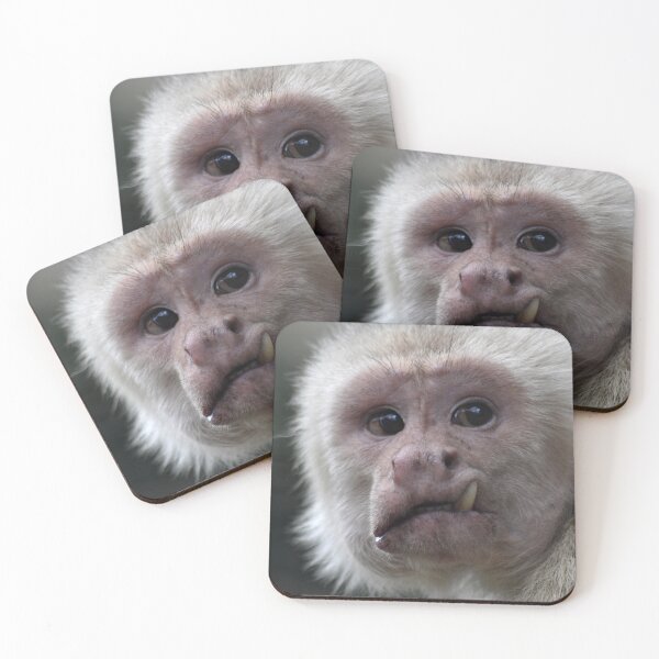 Item preview, Monkey 3 designed and sold by Charles Oliver Creations.