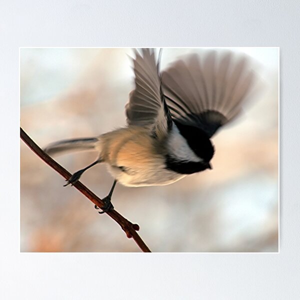 I'll Fly Away Poster