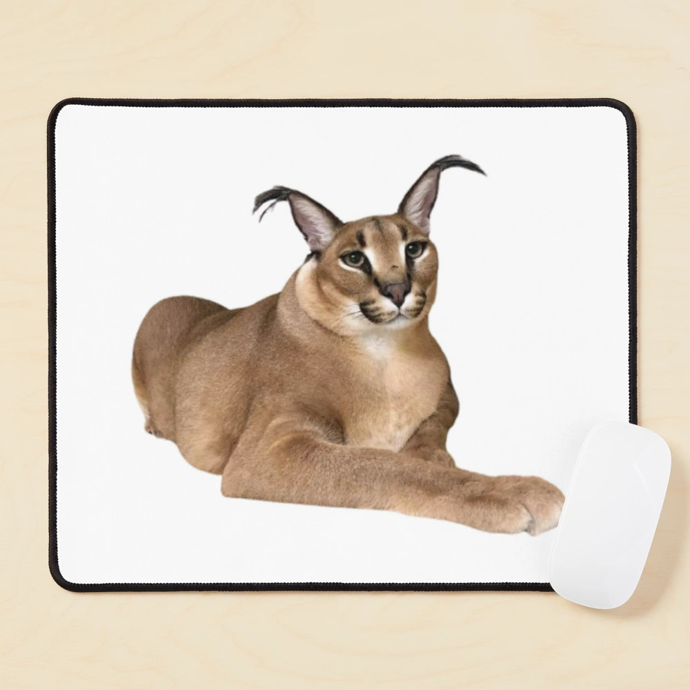 Funny Caracal Cat Floppa Meme Mouse Pad Square Non-Slip Rubber