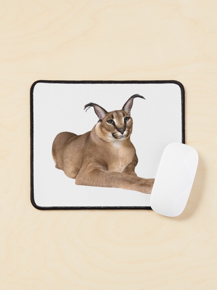 Big Floppa My Beloved Caracal Cat Meme Mousepad