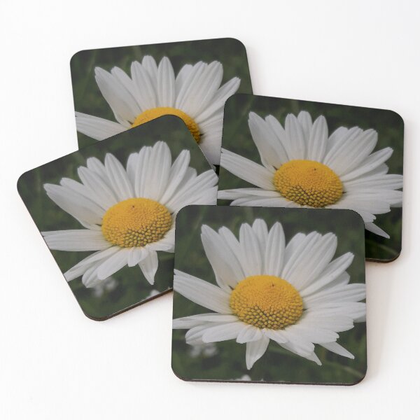 Item preview, Ox-eye Daisy designed and sold by amanda150771.